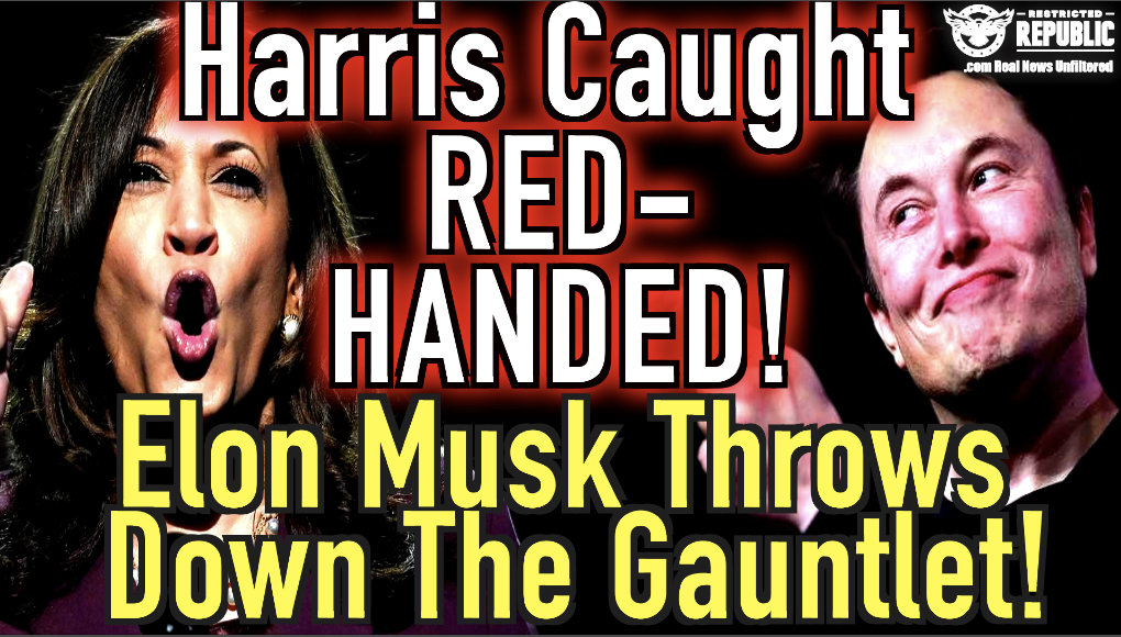 Kamala Harris Caught RED-Handed! Elon Musk Throws Down The Gauntlet!